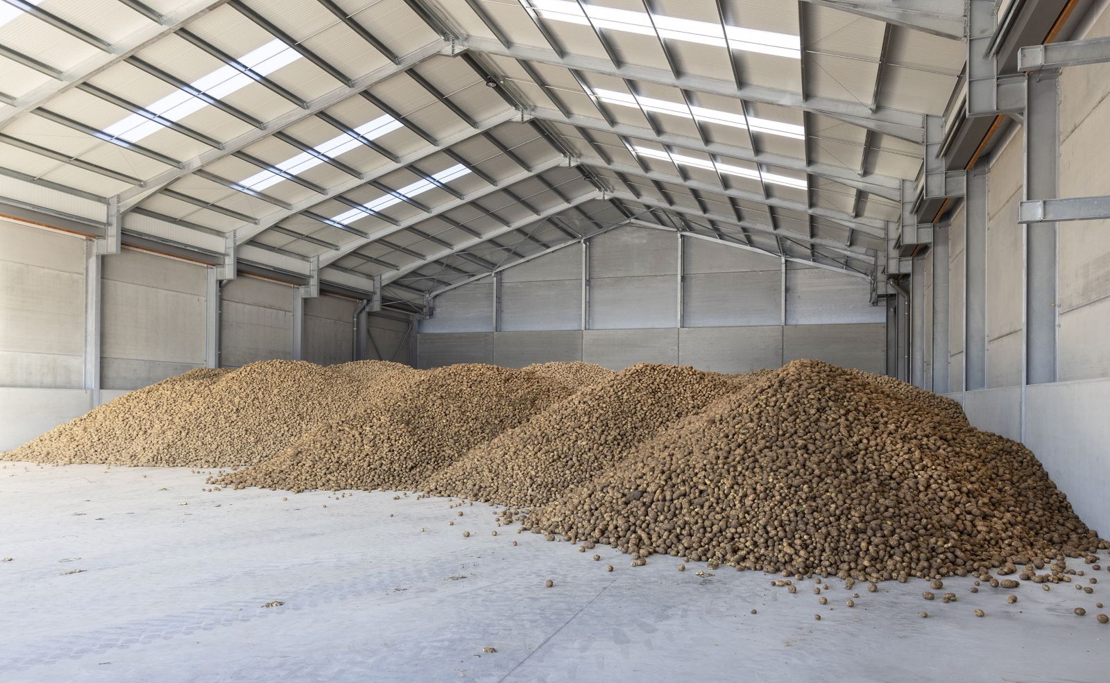 Bâtiments de stockage pour pommes de terre